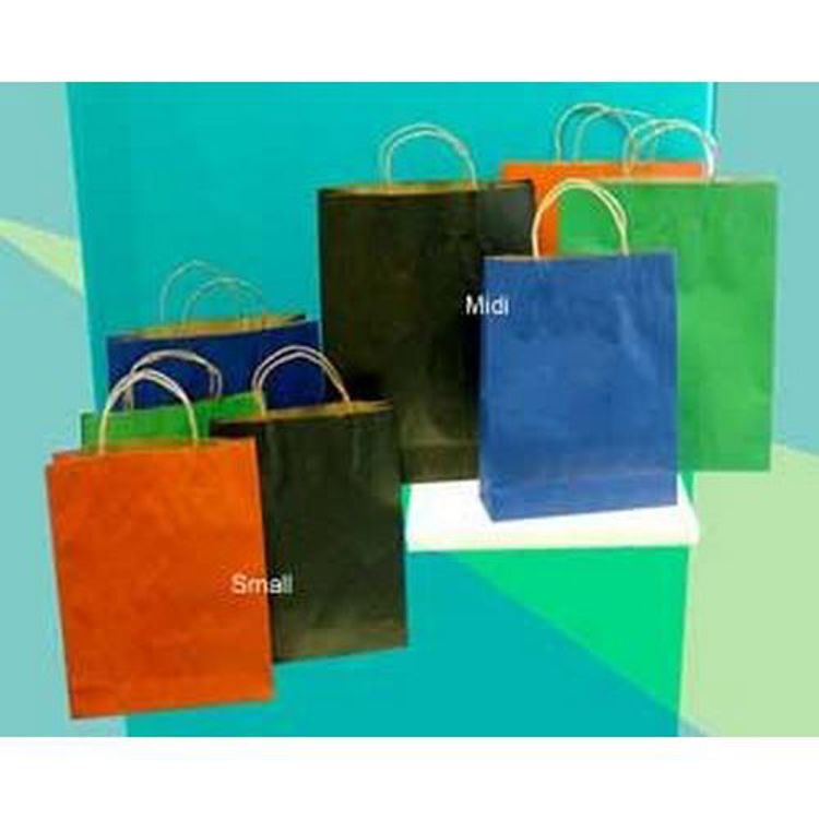 Picture of Small Coloured Kraft Paper Bag - Paper Loop Handle