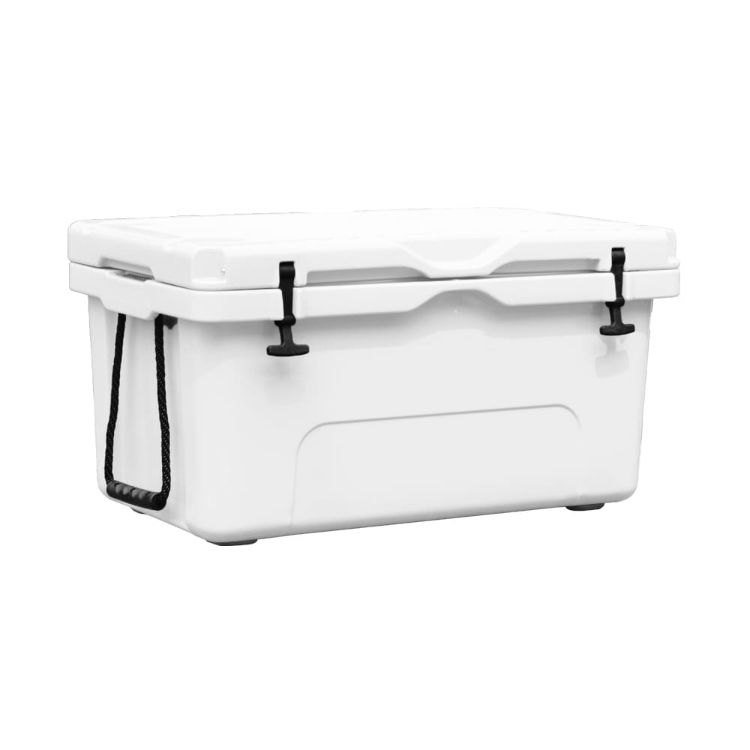 Picture of 65L Cooler Box