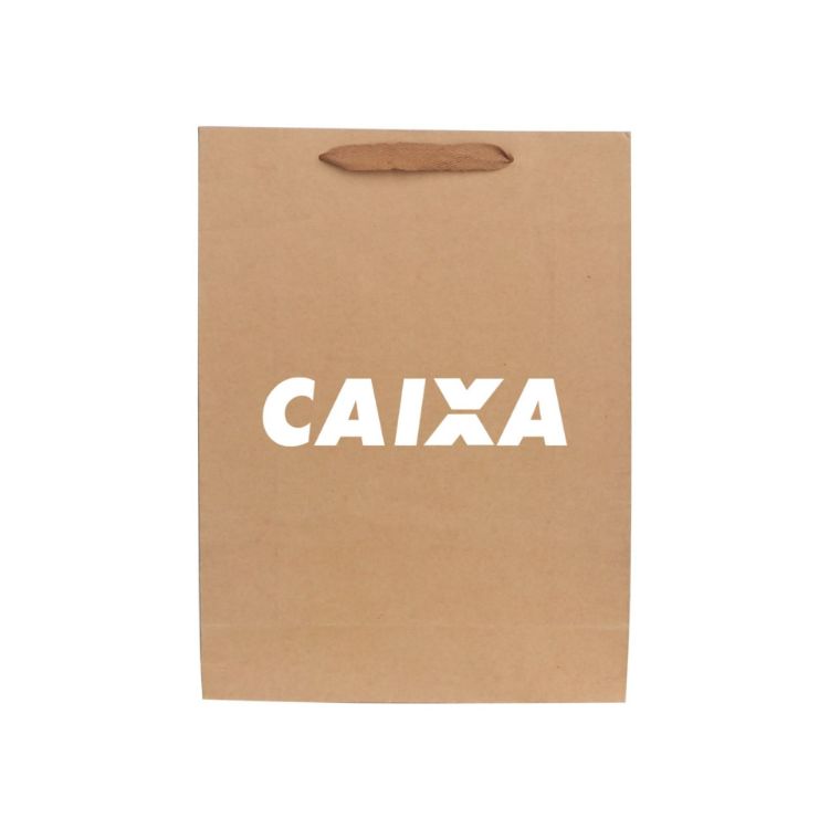 Picture of Large Vertical Paper Bag with Fabric Flat Handle(300 x 400 x 110mm)