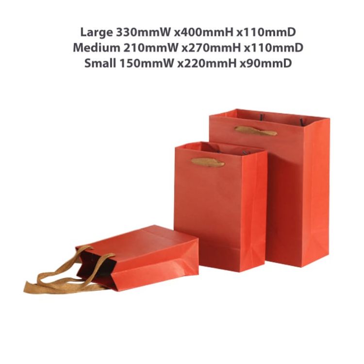 Picture of Medium Vertical Paper Bag with Fabric Flat Handle(210 x 270 x 110mm)