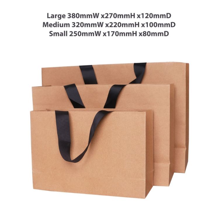 Picture of Large Paper Bag with Flat Handle(380 x 270 x 120mm)