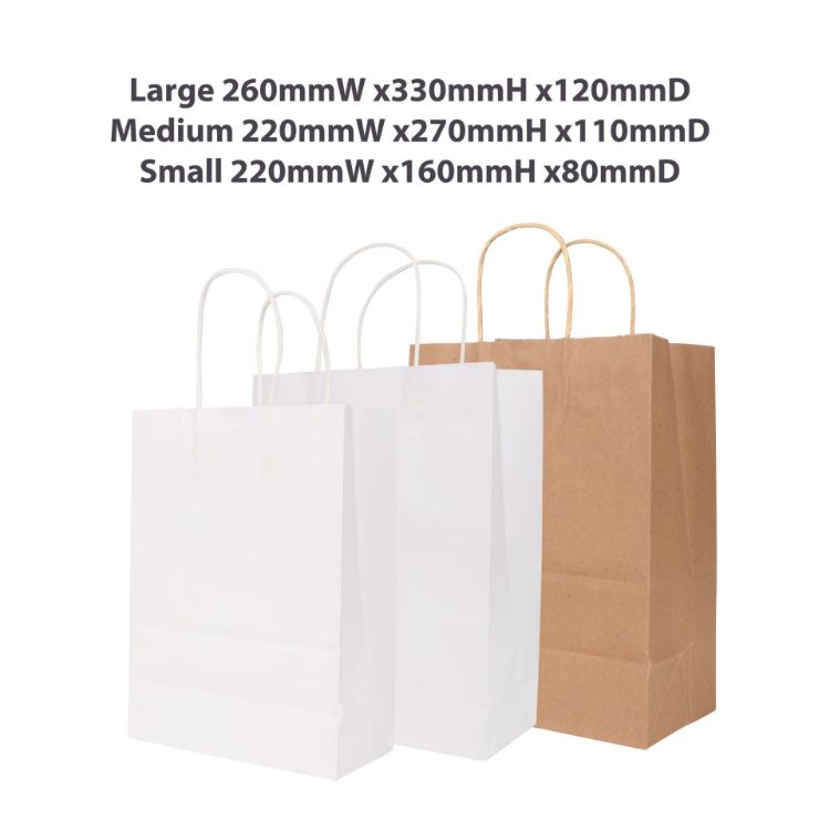 Picture of Twisted Handle Kraft Paper Bag(260x330x120mm)