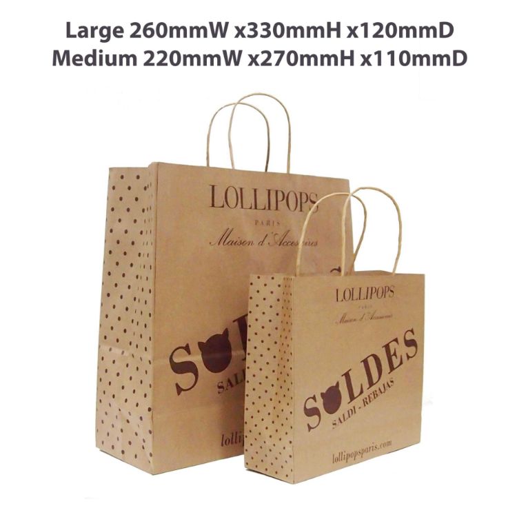 Picture of Twisted Handle Kraft Paper Bag(260x330x120mm)