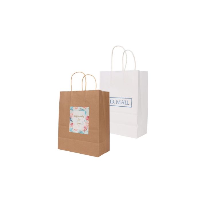 Picture of Twisted Handle Kraft Paper Bag (220x160x80mm)